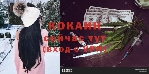 сатива Алексин