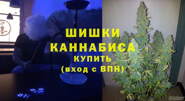 сатива Алексин